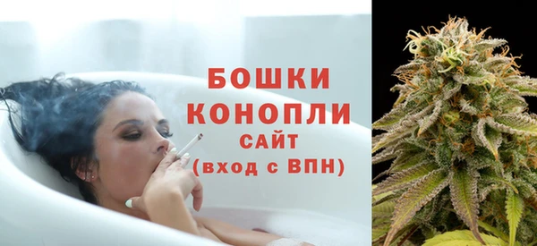 стаф Инта
