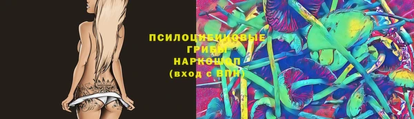 стаф Инта