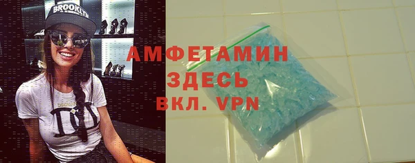 стаф Инта