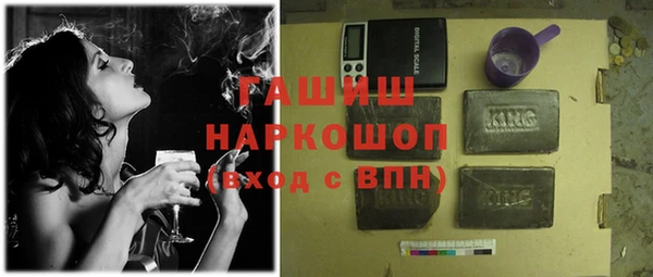 стаф Инта