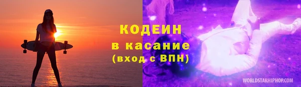 стаф Инта