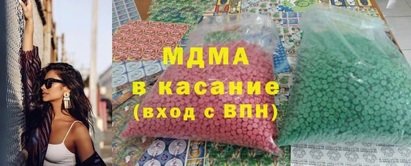 стаф Инта