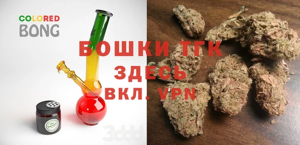 стаф Инта