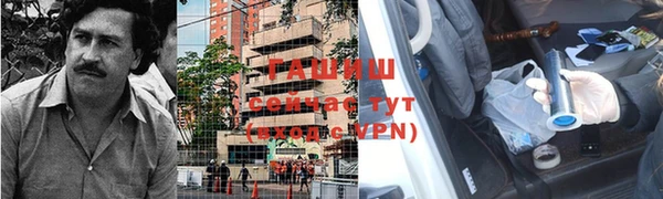 стаф Инта