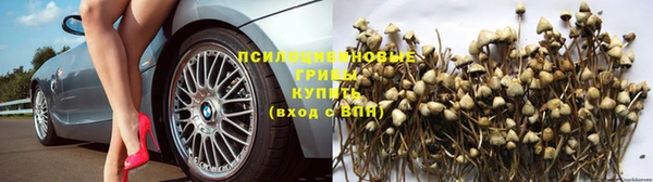 кокаин перу Инсар