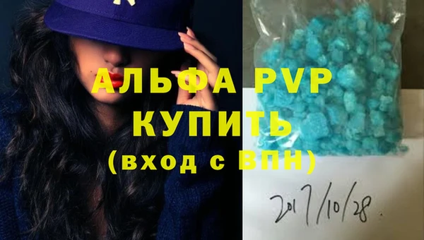 стаф Инта