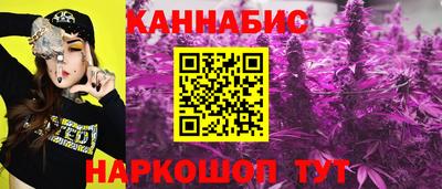 МДПВ Ирбит