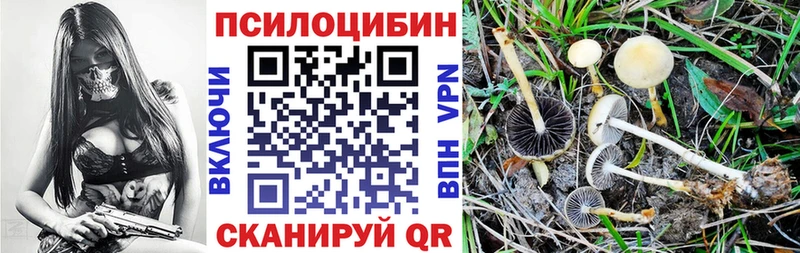 Галлюциногенные грибы Cubensis купить наркоту Кандалакша