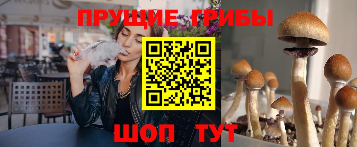 Галлюциногенные грибы Magic Shrooms Кандалакша