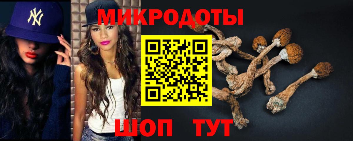 Кандалакша  Псилоцибиновые грибы MAGIC MUSHROOMS  Вход с VPN 